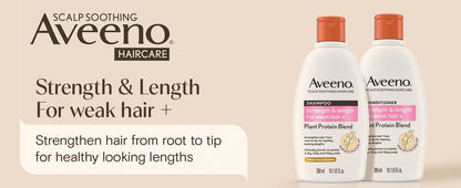 Aveeno Hair Strength + Length Shampoo, Scalp Soothing, For Healthy-Looking Lengths from Root to Tip, Colloidal Oat, Plant Protein Blend, 300ml
