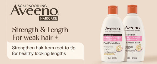 Aveeno Hair Strength + Length Shampoo, Scalp Soothing, For Healthy-Looking Lengths from Root to Tip, Colloidal Oat, Plant Protein Blend, 300ml
